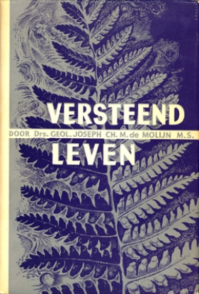 Bild von Versteend Leven