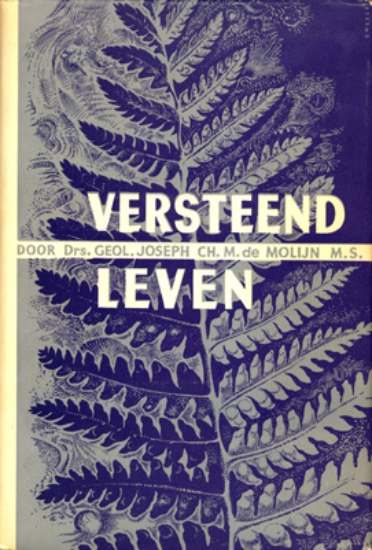 Bild von Versteend Leven