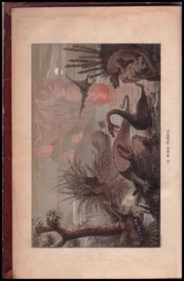 Bild von Le Monde Avant La Création De L'Homme