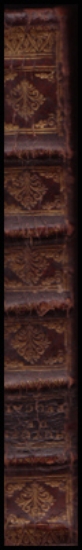 Bild von breves Observationes De Peccatis Et Legibus