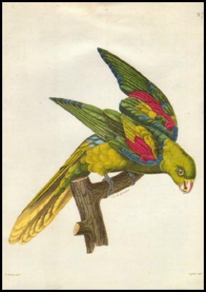 Bild von Etude Couturier Nicolay