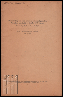 Image de Beschrijving van een nieuwen vleermuisparasiet, Notoedres vanschaïki v. Eyndh. 1946 (Acar.)