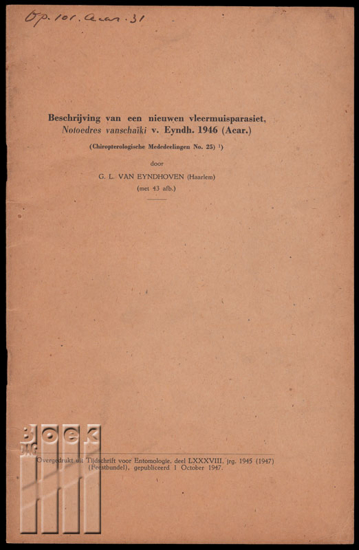 Image de Beschrijving van een nieuwen vleermuisparasiet, Notoedres vanschaïki v. Eyndh. 1946 (Acar.)
