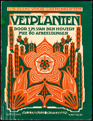 Afbeeldingen van Vetplanten