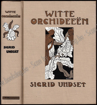 Afbeeldingen van Witte Orchideeën