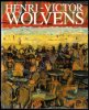 Picture of Henri-Victor Wolvens 1896-1977