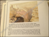 Afbeeldingen van The Holy Land I Love. Lithographs by David Roberts (1839)