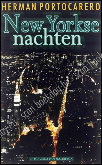 Picture of New Yorkse Nachten