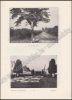 Picture of De kempen