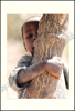 Image de Natotela Sana, Chisuma Mukwai Africa. Zes weken Zambia, Zanzibar en Zimbabwe