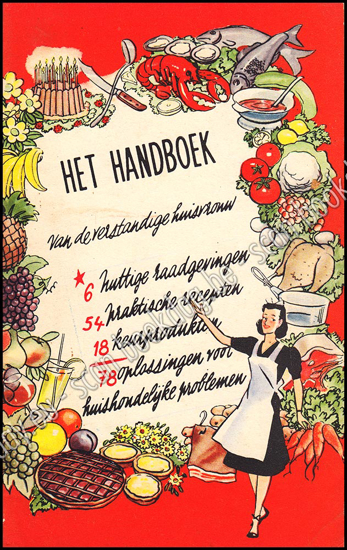 Picture of Het handboek van de verstandige huisvrouw