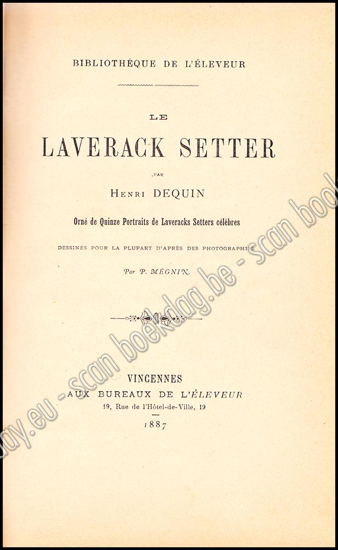 Picture of Le Laverack Setter