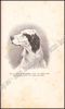 Picture of Le Laverack Setter
