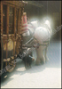 Picture of Pride of the Shires. The Story of the Whitbread Horses