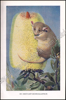 Afbeeldingen van De dierenwereld van Insulinde in woord en beeld, I: Zoogdieren; II: Vogels