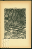 Picture of Door den Storm
