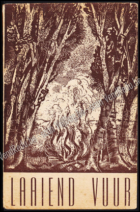 Afbeeldingen van Laaiend vuur. Werkboek voor een schoon en stijlvol kampvuur