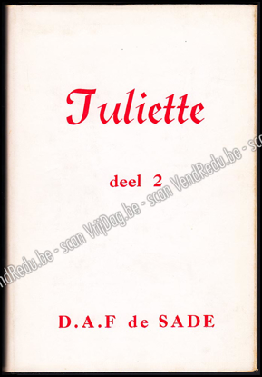 Afbeeldingen van Juliette. Deel 2. (roman vertaald uit het Frans)