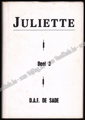 Afbeeldingen van Juliette. Deel 3. (roman vertaald uit het Frans)