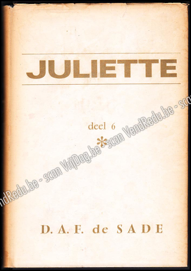 Picture of Juliette. Deel 6. (roman vertaald uit het Frans)