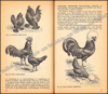 Image de Dieren in en om het huis