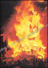 Image de Fêtes et spectacles populaires
