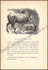 Afbeeldingen van Three hundred Æsop's fables literally translated from the greek