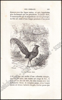 Image de Histoire Naturelle des Oiseaux, des Reptiles et des Poissons