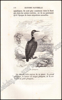 Image de Histoire Naturelle des Oiseaux, des Reptiles et des Poissons