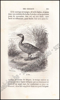 Image de Histoire Naturelle des Oiseaux, des Reptiles et des Poissons