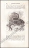 Image de Histoire Naturelle des Oiseaux, des Reptiles et des Poissons