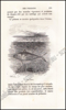 Image de Histoire Naturelle des Oiseaux, des Reptiles et des Poissons