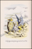 Picture of Alice in Wonderland and Through the Looking Glass