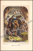 Image de Der erste und älteste Robinson. Robinson Crusoe des Älteren Reisen, wunderbare Abenteuer und Erlebnisse