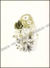 Image de Esso Magazine. Jrg 5, Nr. 1, januari 1957. Bloemen