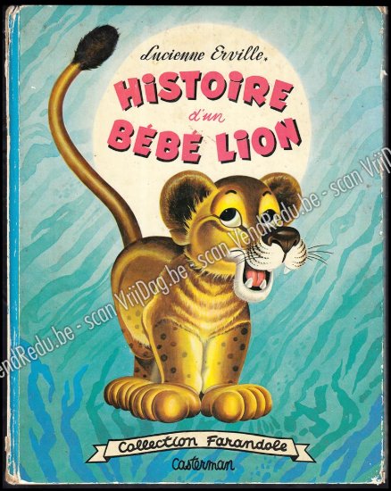 Afbeeldingen van Histoire d'un bébé lion (Collection Farandole)